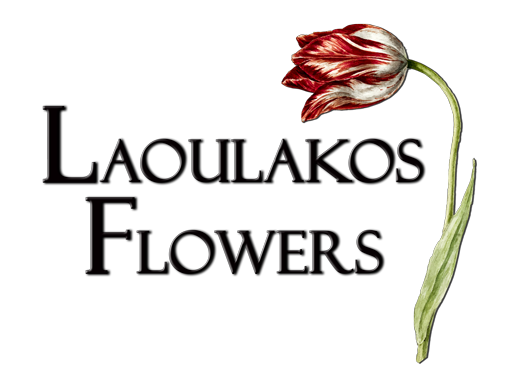 Laoulakos Flowers